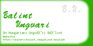 balint ungvari business card